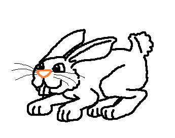 bunny13.jpg