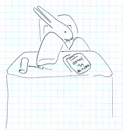 bunny16.jpg
