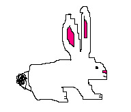 bunny18.jpg