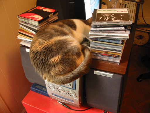 twyla_and_cds_02.jpg