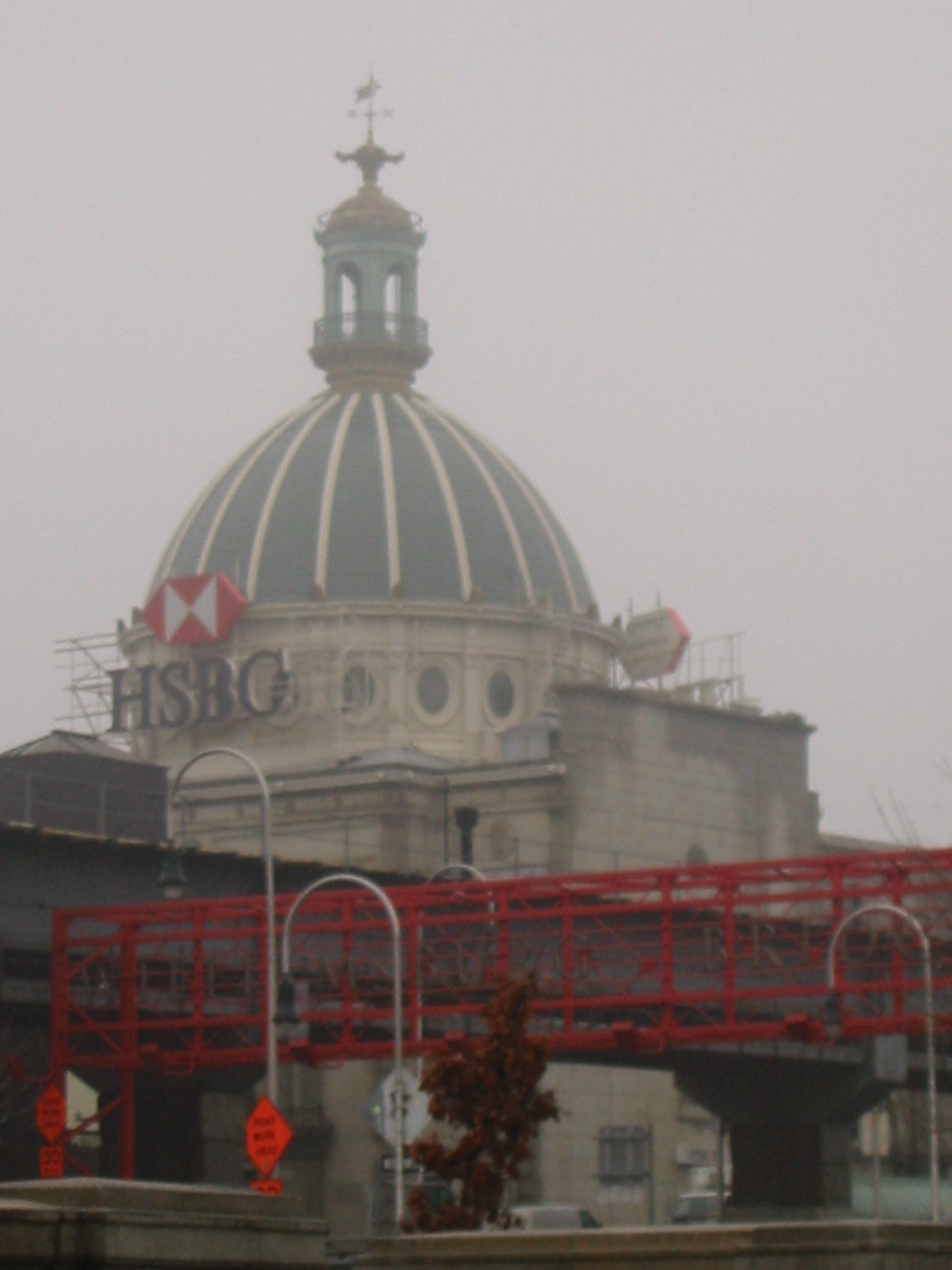 IMG_5010.JPG